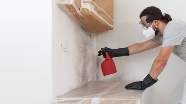 Professional Bathroom Mold Removal technician working in Addison, PA
