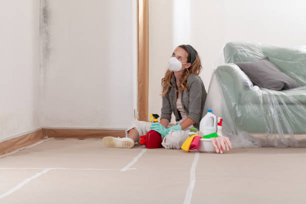 Reliable Bathroom Mold Removal contractor in Addison, PA by WQB Mold Removal